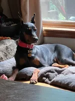 processed/0b6997fb-5a23-4977-9d74-a253960d6547/facility/9bbaa41f-0d77-400b-96dc-2fcaf782bf46