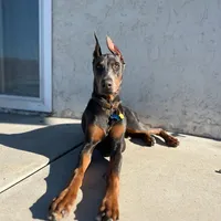 processed/0b6997fb-5a23-4977-9d74-a253960d6547/facility/a1d95378-672f-4212-b799-01a63c2e5032