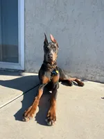 processed/0b6997fb-5a23-4977-9d74-a253960d6547/facility/a1d95378-672f-4212-b799-01a63c2e5032