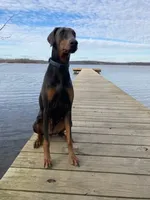 processed/0b6997fb-5a23-4977-9d74-a253960d6547/facility/b40c2c8c-ff2b-4b22-ac47-6031ffa5abc9