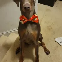 processed/0b6997fb-5a23-4977-9d74-a253960d6547/facility/c1ad0eed-3b16-4fba-bcdb-5b9b5db42270