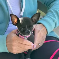 processed/0b6997fb-5a23-4977-9d74-a253960d6547/facility/f85b8aba-4cf2-4547-82d8-2b651b01faf6