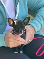 processed/0b6997fb-5a23-4977-9d74-a253960d6547/facility/f85b8aba-4cf2-4547-82d8-2b651b01faf6