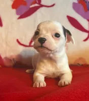 processed/0b6997fb-5a23-4977-9d74-a253960d6547/listing/19383660-840b-4c54-8f59-1786783c0928/13286948-bf20-45a5-b82a-c0054dfb27ee