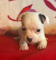 processed/0b6997fb-5a23-4977-9d74-a253960d6547/listing/19383660-840b-4c54-8f59-1786783c0928/23b93b1f-ed33-458a-bf99-d0888afe5623