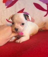 processed/0b6997fb-5a23-4977-9d74-a253960d6547/listing/19383660-840b-4c54-8f59-1786783c0928/2603e20a-7aba-4a8b-a2cd-77a9313510a4