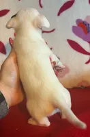 processed/0b6997fb-5a23-4977-9d74-a253960d6547/listing/19383660-840b-4c54-8f59-1786783c0928/718beb5c-3e35-42c7-a150-a774be14db78