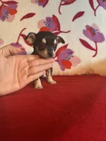 processed/0b6997fb-5a23-4977-9d74-a253960d6547/listing/38920185-07b5-4c3c-8a34-03f94141d6af/091e3bb4-1423-45f1-8489-fa2b8b777d28