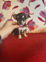 processed/0b6997fb-5a23-4977-9d74-a253960d6547/listing/38920185-07b5-4c3c-8a34-03f94141d6af/f317fea4-cc7e-470a-a641-5acb243a2858