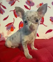 processed/0b6997fb-5a23-4977-9d74-a253960d6547/listing/c2d2cbdc-36ed-43b9-90c9-d44ad675a9f3/c0082535-daba-494c-8c64-2269e3d97df0