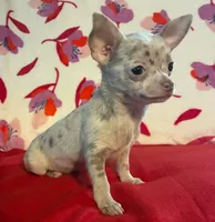 processed/0b6997fb-5a23-4977-9d74-a253960d6547/listing/c2d2cbdc-36ed-43b9-90c9-d44ad675a9f3/c99371af-e2d4-4c5a-ad02-a12dcee576dc