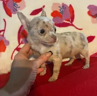 processed/0b6997fb-5a23-4977-9d74-a253960d6547/listing/c2d2cbdc-36ed-43b9-90c9-d44ad675a9f3/ec8b1779-3ab9-4bb5-a277-41c0afbbade8