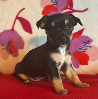 processed/0b6997fb-5a23-4977-9d74-a253960d6547/listing/fa499f14-54fc-4f37-b892-0013abe69747/690ea864-7968-400d-8deb-269f1b0977c2