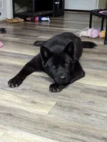 processed/0b6e22bd-e856-4bfc-8479-0c2fcfdc0938/facility/47461cff-3161-4556-a42e-4c0db15ea4ec