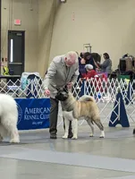 processed/0b6e22bd-e856-4bfc-8479-0c2fcfdc0938/facility/691dbda5-1de6-4c92-a376-89a3598fc32a