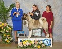 processed/0b6e22bd-e856-4bfc-8479-0c2fcfdc0938/listing/f4ffebbb-42e1-4729-92d3-cca8caa0631a/84a339e4-698d-43e6-affd-39c1074beee5