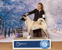 processed/0b6e22bd-e856-4bfc-8479-0c2fcfdc0938/listing/f4ffebbb-42e1-4729-92d3-cca8caa0631a/aa8a5a4a-8bfb-4646-a5b5-726ae578a83a