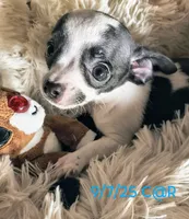 processed/0b708f38-bc67-4667-9ea4-4f8b288bf26d/listing/9d51f1c1-d70a-4cd9-a971-343641b87814/3d95a93c-dfe5-44ed-b4a6-36e2e7dbdf03