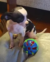 processed/0b708f38-bc67-4667-9ea4-4f8b288bf26d/listing/9d51f1c1-d70a-4cd9-a971-343641b87814/78d11399-3904-422e-ba26-d4ac34def401