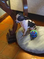 processed/0b708f38-bc67-4667-9ea4-4f8b288bf26d/listing/9d51f1c1-d70a-4cd9-a971-343641b87814/8d71766c-4fca-4f71-a59d-b0a59630475e