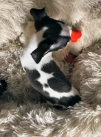 processed/0b708f38-bc67-4667-9ea4-4f8b288bf26d/listing/9d51f1c1-d70a-4cd9-a971-343641b87814/ad6fb3e7-307e-4a8c-9e6a-74110226e7c8