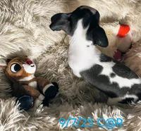 processed/0b708f38-bc67-4667-9ea4-4f8b288bf26d/listing/9d51f1c1-d70a-4cd9-a971-343641b87814/ce1ba4ad-35e9-4ce8-895c-1fc0da2a1c3b