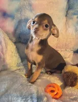 processed/0b708f38-bc67-4667-9ea4-4f8b288bf26d/listing/a604ca73-1284-4d5a-9af2-26f0b7f09b20/00e7735b-3104-49c0-bedf-29404ee4011a