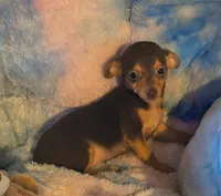 processed/0b708f38-bc67-4667-9ea4-4f8b288bf26d/listing/a604ca73-1284-4d5a-9af2-26f0b7f09b20/852d2bca-161a-414f-bea4-26ddaa66d529