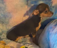 processed/0b708f38-bc67-4667-9ea4-4f8b288bf26d/listing/a604ca73-1284-4d5a-9af2-26f0b7f09b20/da0f3de6-a976-49c9-9007-19b95978b087