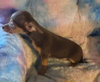 processed/0b708f38-bc67-4667-9ea4-4f8b288bf26d/listing/a604ca73-1284-4d5a-9af2-26f0b7f09b20/e7a00211-f5e3-411c-be83-812a60cdbe16