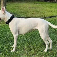 processed/0b75e758-7c06-4f6f-875b-c41cff558703/facility/07da2eb5-c833-471d-85e2-4121fe40c73b