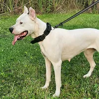 processed/0b75e758-7c06-4f6f-875b-c41cff558703/facility/3698afbe-600c-4f22-a5bf-621d7d54d658