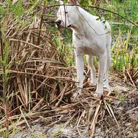 processed/0b75e758-7c06-4f6f-875b-c41cff558703/facility/baf47186-efb0-42ce-b5a9-8b839119d26a