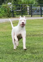 processed/0b75e758-7c06-4f6f-875b-c41cff558703/listing/3825302e-3e1a-42b1-8c81-f2b46619a5d0/3175cfed-2f94-4780-a9cc-74004e2cf0ce