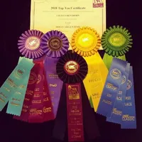 Alba, a female Dogo Argentino for sale in Lake City, FL – Photo 2 of 8