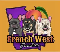 processed/0b7661fd-950d-460c-b478-759fca07fc87/facility/86f52f0c-d095-41bd-bd8a-0f091905bd5b