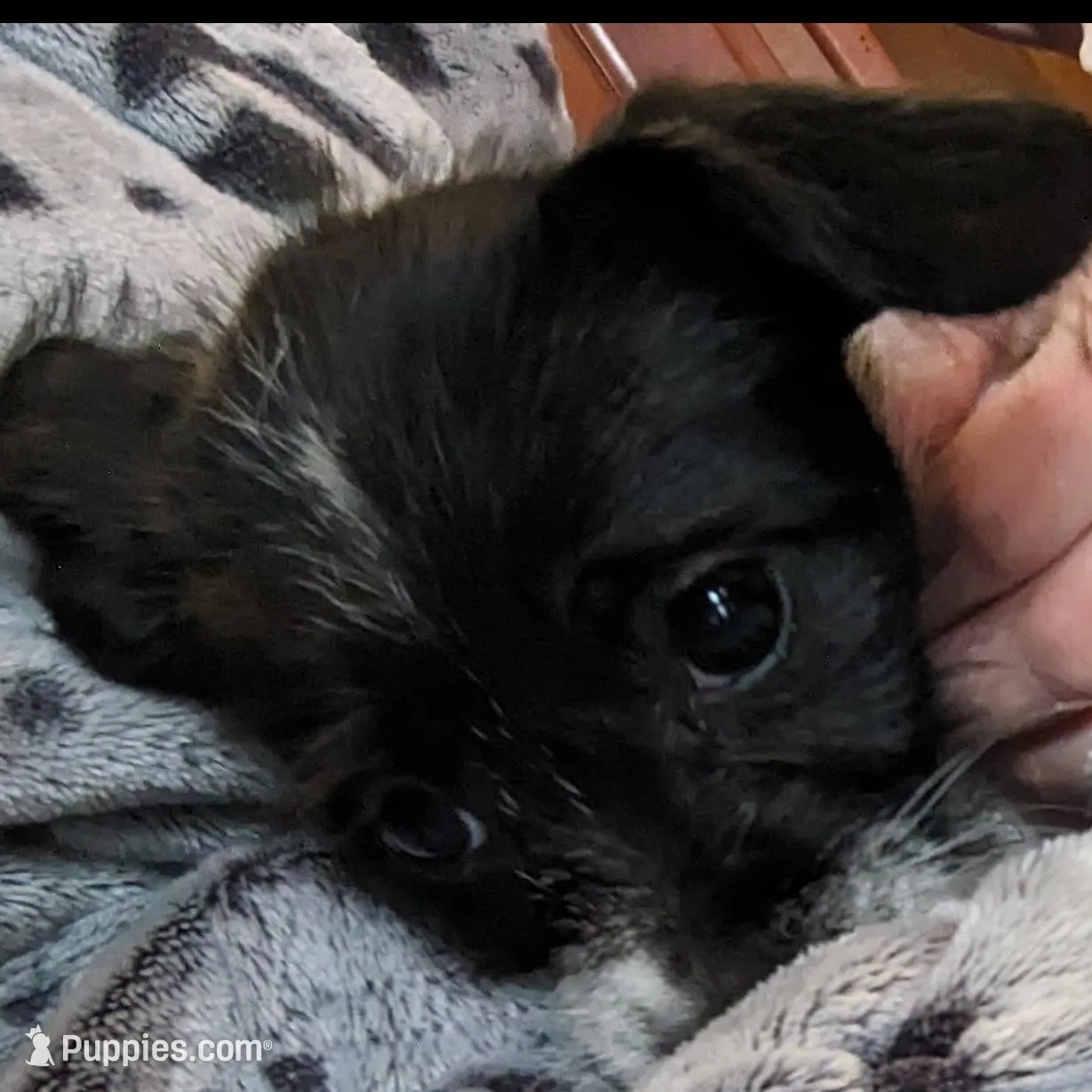 processed/0b79a663-4996-40d9-92b3-1fb24b634ca2/listing/1bd067f7-79d2-4376-a29e-f2c8d7bd177d/c9bf9d3a-bdd8-4386-92ed-1858ebc923f5