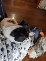 processed/0b79a663-4996-40d9-92b3-1fb24b634ca2/listing/1bd067f7-79d2-4376-a29e-f2c8d7bd177d/ca1d78cd-44e3-4c2f-8596-05d12daf1050