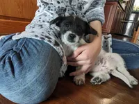 processed/0b79a663-4996-40d9-92b3-1fb24b634ca2/listing/1bd067f7-79d2-4376-a29e-f2c8d7bd177d/ca63c6af-8555-4f38-9f9c-df17988ef4bd