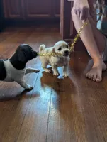 processed/0b79a663-4996-40d9-92b3-1fb24b634ca2/listing/42f369f6-4a36-4650-8318-3e1b539110a4/a4afcec8-132b-4916-8fe0-d833f25eb188