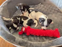 processed/0b79a663-4996-40d9-92b3-1fb24b634ca2/listing/bc570b0c-1436-4327-b7ab-1a2ed6897ff8/557b5fb2-5f8e-4ead-8096-6913c6d17bae