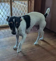 processed/0b79a663-4996-40d9-92b3-1fb24b634ca2/listing/c44d3806-d0fc-4b8d-ae2e-1097a1934520/601ff690-7b9c-41d1-ad57-14a98e90a725