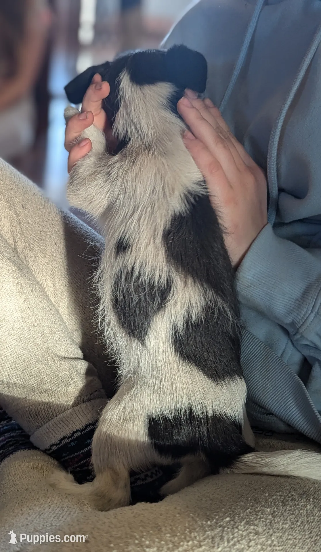 processed/0b79a663-4996-40d9-92b3-1fb24b634ca2/listing/c44d3806-d0fc-4b8d-ae2e-1097a1934520/db9f5e04-de09-4108-8723-15fd5aeb9119