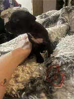 processed/0b8ef8c2-9e1f-4e84-add4-8a1c7d919917/listing/0b78d056-6297-4b95-88f2-6c8dd71da77e/cd7e528a-08ae-404b-b2c4-e62bb2085361