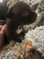 processed/0b8ef8c2-9e1f-4e84-add4-8a1c7d919917/listing/5dc15321-e3e0-42c1-b793-d0ba9bded7ba/cfdcdcfc-ce02-49dc-a2cc-35a36ed1255b