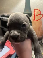 processed/0b8ef8c2-9e1f-4e84-add4-8a1c7d919917/listing/dba73511-a501-4ec1-95e3-f2900ebe754b/d6436fbc-245e-445b-b837-8bd9efe4f58f