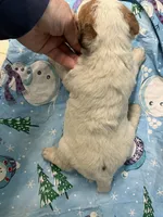 processed/0b91024d-6ca3-444d-bacc-fe2720fcc942/listing/1ffcb7b0-5837-4040-93cc-9f6e73c1cd4e/1f8ca7d7-ebb0-4556-a617-984fa83b9467