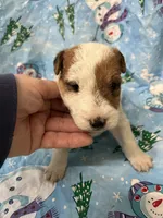 processed/0b91024d-6ca3-444d-bacc-fe2720fcc942/listing/1ffcb7b0-5837-4040-93cc-9f6e73c1cd4e/a253bf23-1101-4859-bdfc-7b8e754ac209