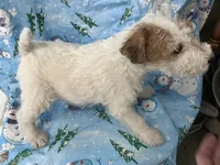 processed/0b91024d-6ca3-444d-bacc-fe2720fcc942/listing/1ffcb7b0-5837-4040-93cc-9f6e73c1cd4e/a6a73325-d4ad-464a-b92a-113e82df1f99