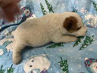 processed/0b91024d-6ca3-444d-bacc-fe2720fcc942/listing/1ffcb7b0-5837-4040-93cc-9f6e73c1cd4e/d47664bc-f0e1-4b8a-bdd6-07fdc29fa371